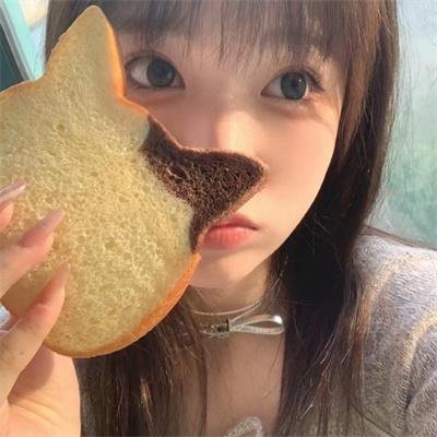 动物狂想曲第二季